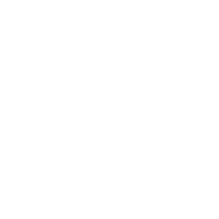 Kingsley Excellence